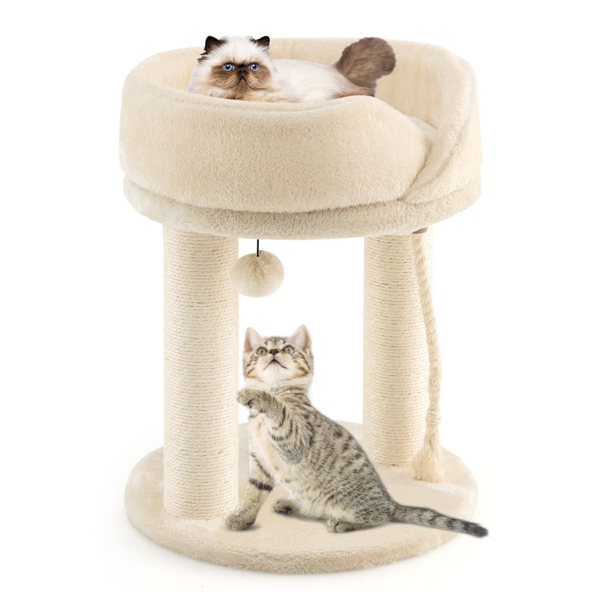 Arbre à chat Coast Cat Tree griffoir pour chat avec chaise douce tour sistal pour chat beige