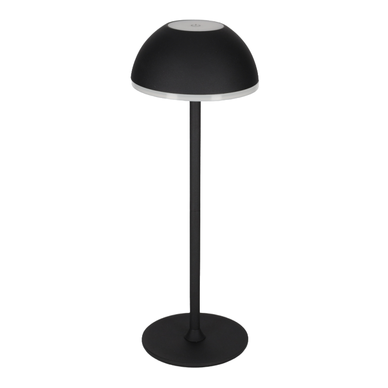Guirlande lumineuse festive ProGarden 7,5 m, 50 micro-LED, éclairage d'extérieur EDCB60022