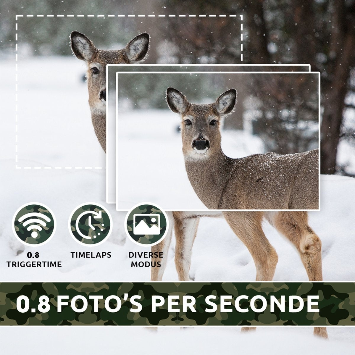 AyeCam Wildcamera - Draadloos - Wildcamera met Nachtzicht – Infraroodcamera – Inc. 32 GB SD Kaart - 4K Ultra HD Camera - met Geluidsopname