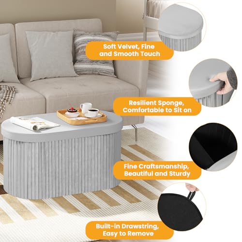 Woltu Storage Bench Velvet - Dark Grey - 76 x 38 x 38 cm - Boîte de rangement pliable avec couvercle amovible