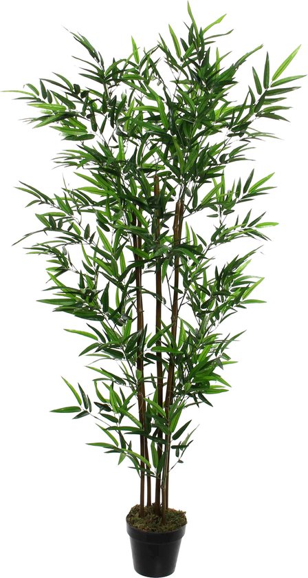 Mica Decorations Plante Artificielle Bambou - H155 x Ø90 cm - Vert