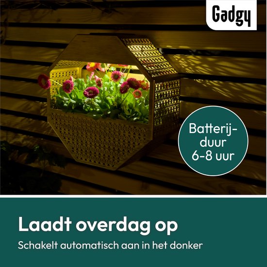 Gadgy Solar - Applique murale Gadgy Solar avec jardinière – Éclairage de jardin à énergie solaire – Lampe d'extérieur à LED – 30 x 30 cm – Jardinière noire