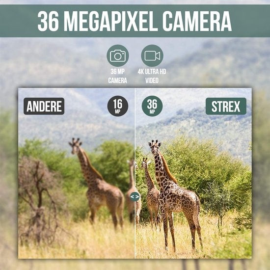 Strex Wildlife Camera avec WiFi et vision nocturne - 120MP 4K ULTRA HD - Waterproof - Incl. 32 GB SD - Wildlife Camera