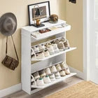 SoBuy Armoire à chaussures étroite avec 2 abattants - Benne à chaussures noire FSR78-L-W 75 x 24 x 96 cm