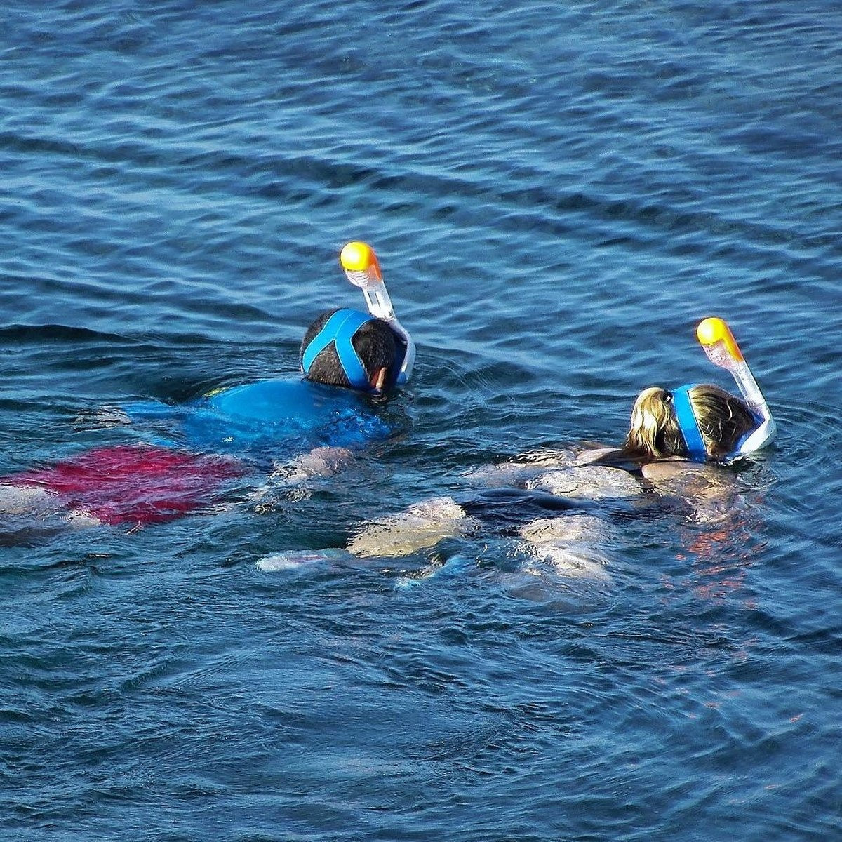 Gadgy Snorkelmasker voor kinderen - Snorkelset Blauw - Full Face Duikmasker Kind - Duikbril met Snorkel - Snorkelen en duiken in 2024