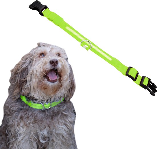 Dutchwide Collier lumineux pour chien - Extra fort - S 34 cm à 41 cm