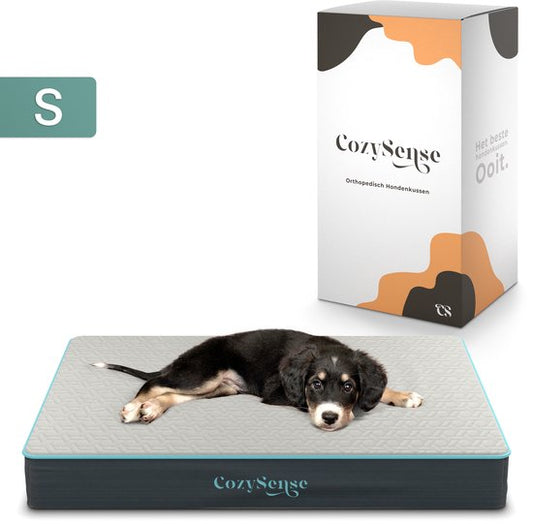 CozySense® Coussin orthopédique pour chien 60 X 40 cm - Taille S - Imperméable - Convient comme coussin de banc et lit pour chien