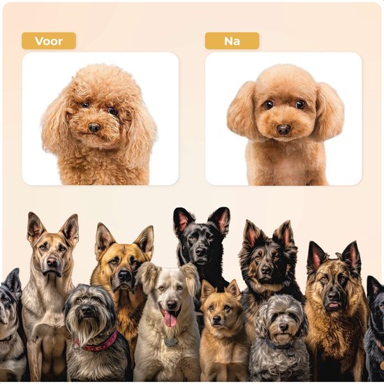 Dutchwide Groommate Tondeuse sans fil pour animaux - 4 accessoires inclus - noir