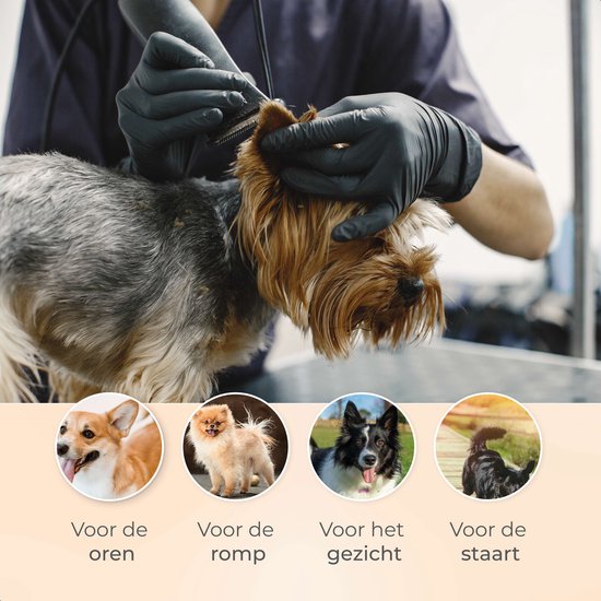 Dutchwide Groommate Tondeuse sans fil pour animaux - 4 accessoires inclus - noir