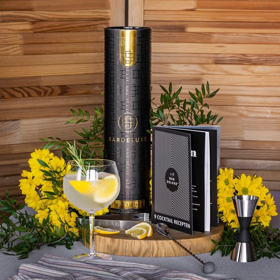 BarDeluxe® Cocktail Set - 12-Piece - Cocktail Shaker Set (750ml) - Luxury Gift Package - Including Dutch Recipe Book