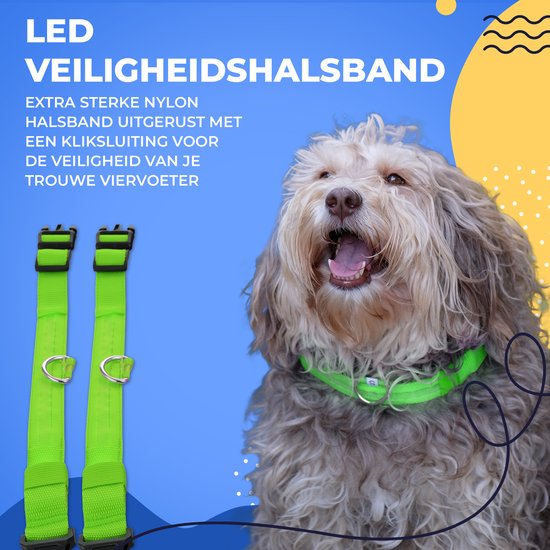 Dutchwide Collier lumineux pour chien - Extra fort - S 34 cm à 41 cm