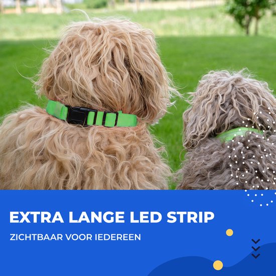 Dutchwide Collier lumineux pour chien - Extra fort - S 34 cm à 41 cm
