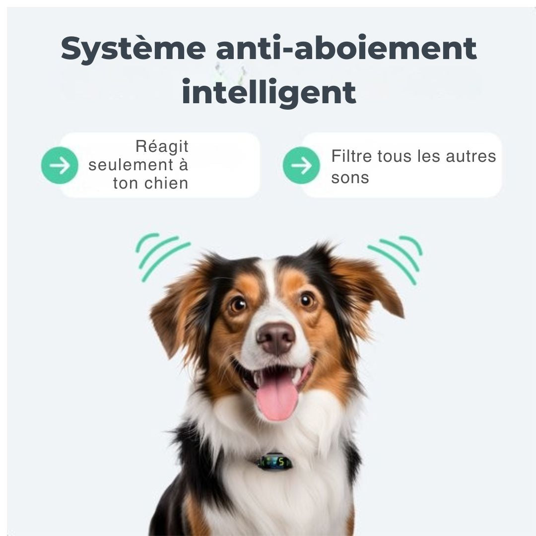 Collier anti-aboiement Pro - Dutchwide - 100% étanche - sans choc - rechargeable - noir