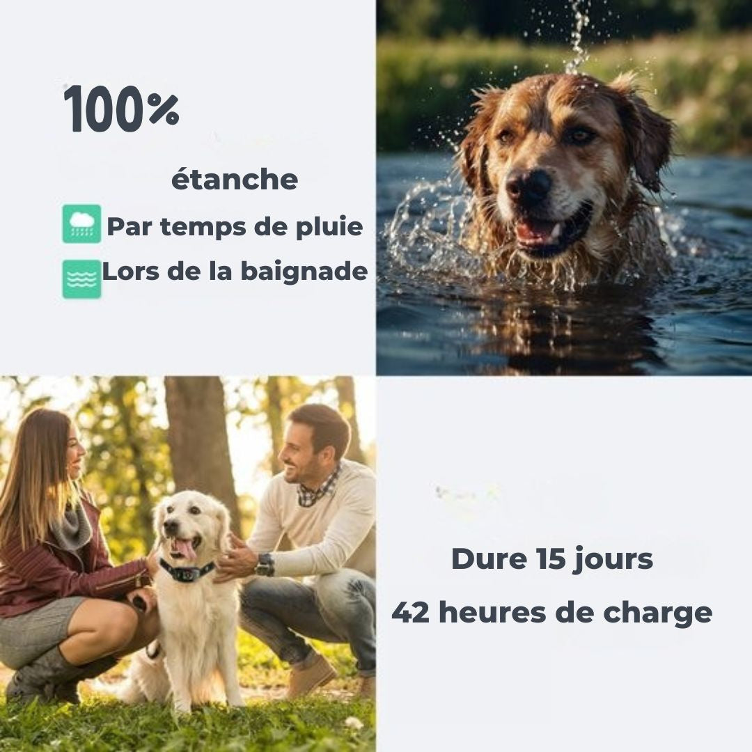 Collier anti-aboiement Pro - Dutchwide - 100% étanche - sans choc - rechargeable - noir
