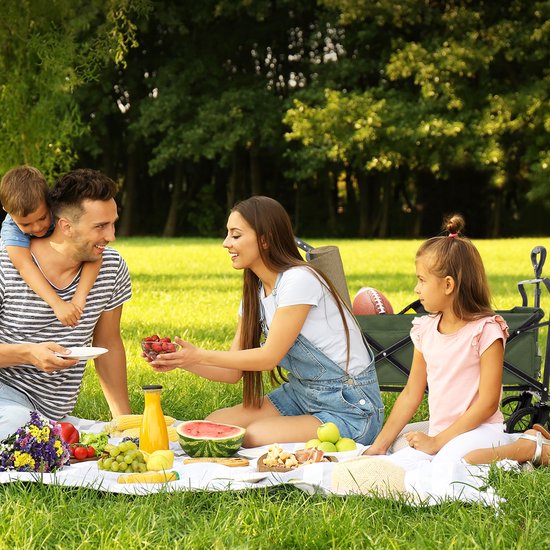 LifeGoods Wagon - roues pivotantes - système de freinage - jusqu'à 120 kg - 120 x 61 x 80 cm - vert