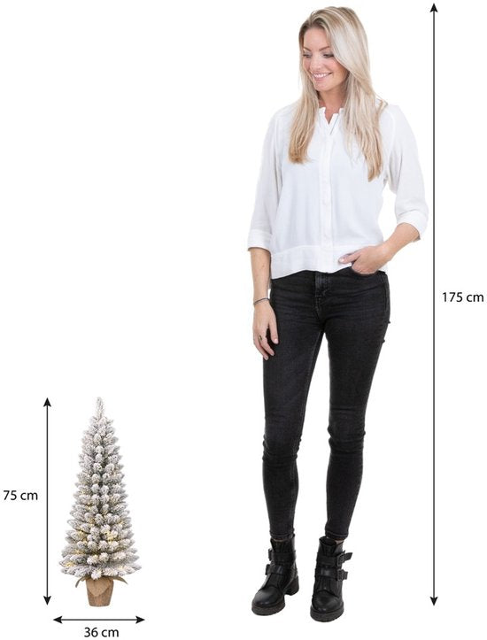 Black Box Trees Gerlos : sapin de Noël en toile de jute, vert givré, 30 L, TIPS 70, à piles et avec minuterie - h75xd36cm