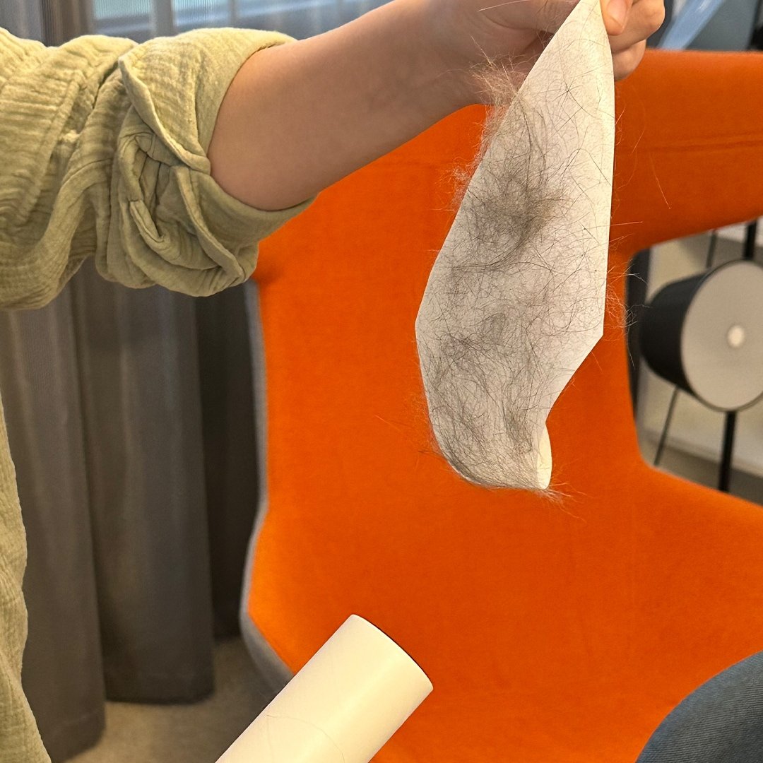 Rouleau anti-peluches Livington - Élimine les peluches et les poils - Rouleau adhésif réutilisable - Convient à de nombreuses surfaces