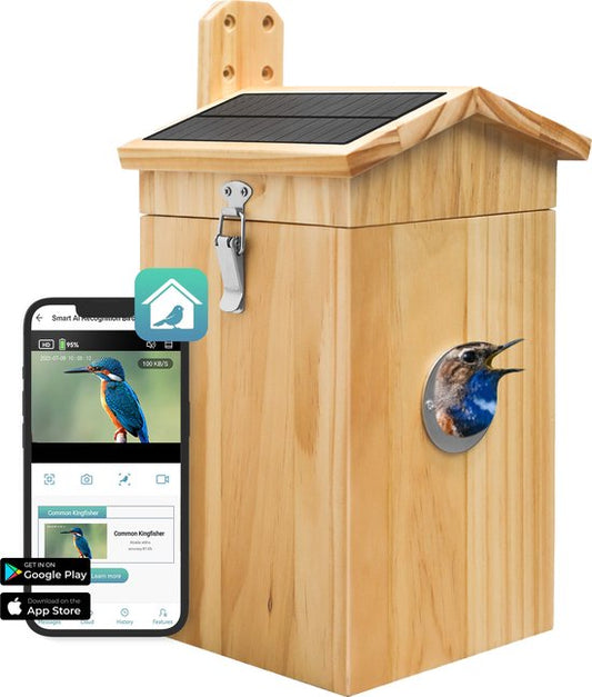 Maison d'oiseau avec caméra et audio - Maison d'oiseau suspendue - Bois - Nichoir - Double panneau solaire