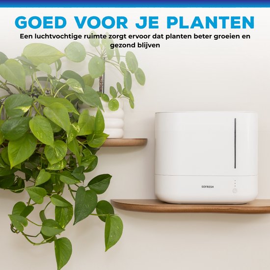 Humidificateur Sofresh avec application