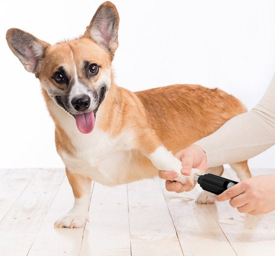 Auronic lime à ongles électrique - pour animaux - rechargeable - sans fil - tête de lime diamantée - chiens/chats - noircissement