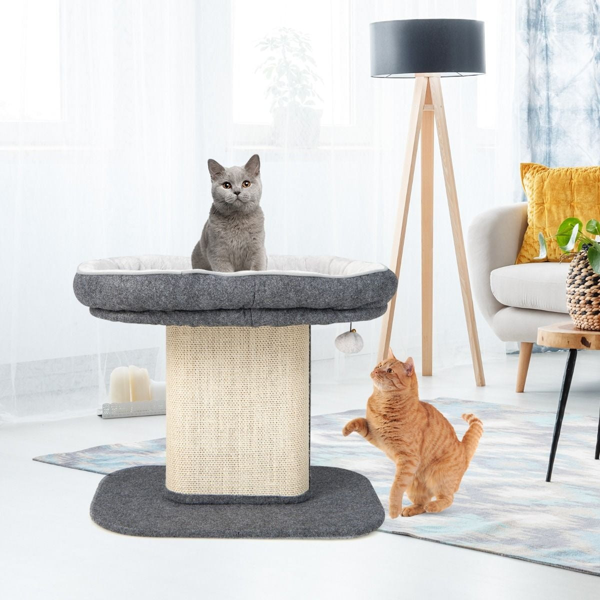 Arbre à griffes Coast Modern Meubles pour chats avec grand fauteuil en peluche et planche à griffes en sisal gris
