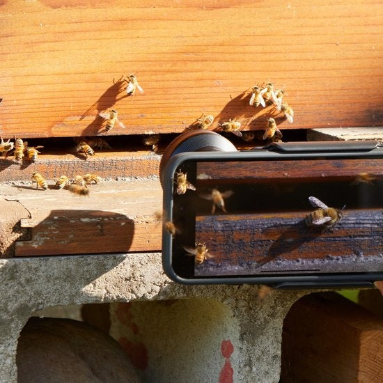 ShiftCam LensUltra 75mm Long Macro - objectif pour smartphone - photos rapprochées - photographie macro