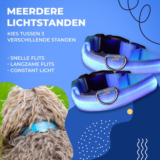 Collier lumineux pour chien - Extra fort - XS 28 cm à 38 cm - Collier pour chien - Collier à mousqueton - Ajustable - Réfléchissant