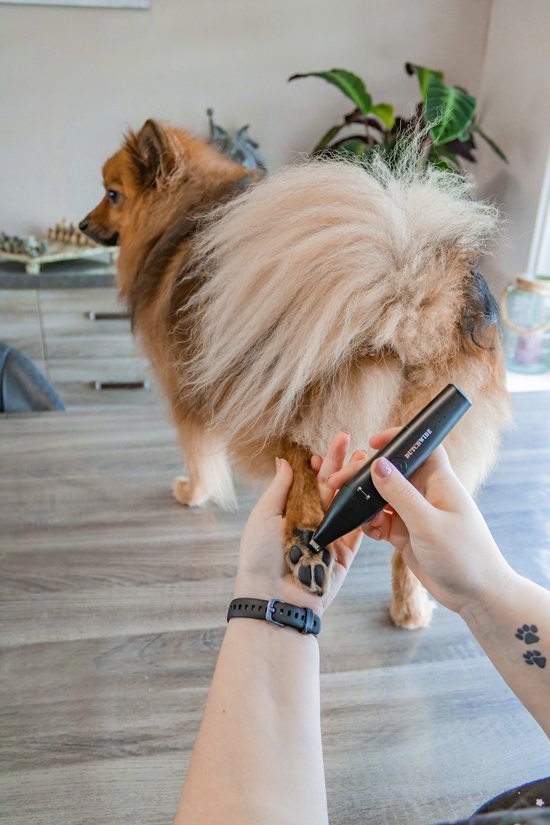 Dutchwide Tondeuse pour chiens et chats - Pour poils épais - Tondeuse silencieuse - Sans fil - Kit de toilettage pour animaux - Tondeuse pour chiens - Tables de coupe pour chiens - Tondeuse