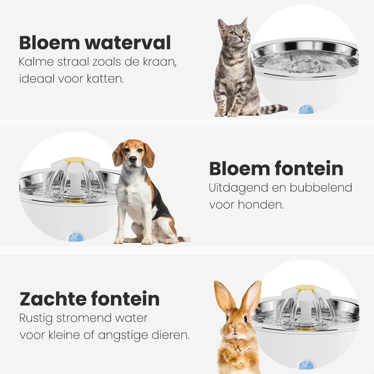Abreuvoir Auronic - Fontaine à eau pour chats et chiens - 2.4L - Abreuvoir pour animaux - 4 filtres et 2 brosses inclus - Blanc