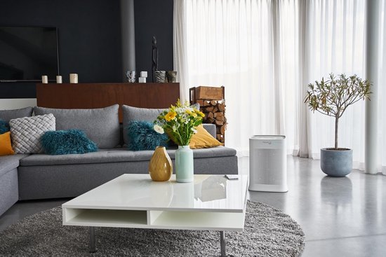 Rowenta Pure Air Genius PU3080F0 - Purificateur d'air