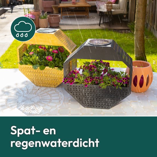 Gadgy Solar - Applique murale Gadgy Solar avec jardinière – Éclairage de jardin à énergie solaire – Lampe d'extérieur à LED – 30 x 30 cm – Jardinière noire