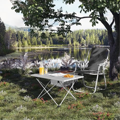 Table pliante Woltu Table de camping Table de pique-nique Aluminium Argent 68 x 46 x 40 cm
