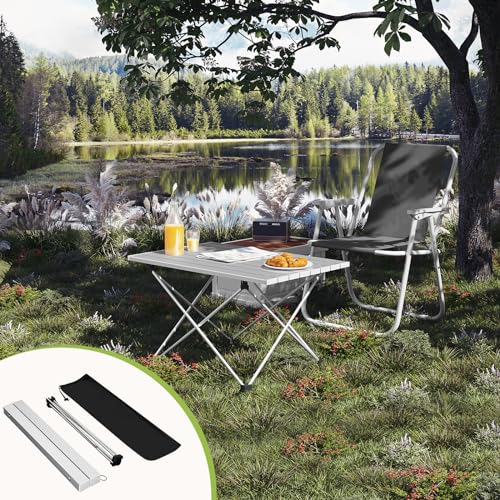 Table pliante Woltu Table de camping Table de pique-nique Aluminium Argent 68 x 46 x 40 cm