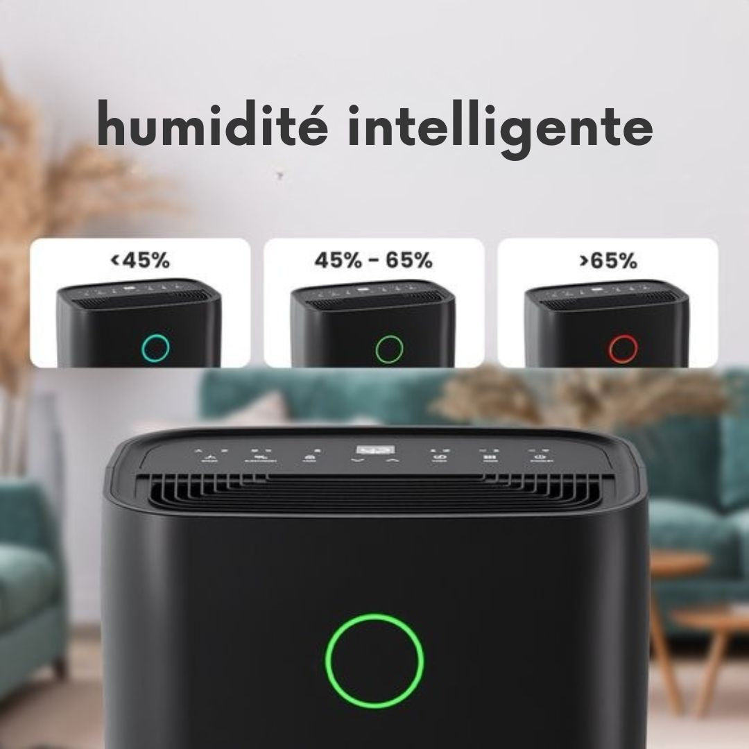 Déshumidificateur Auronic - Série compacte - 20L par jour - Fonction Lavage-Séchage - Chambre à coucher, salle de bain et salon - Élimination de l'humidité pour la maison - Noir