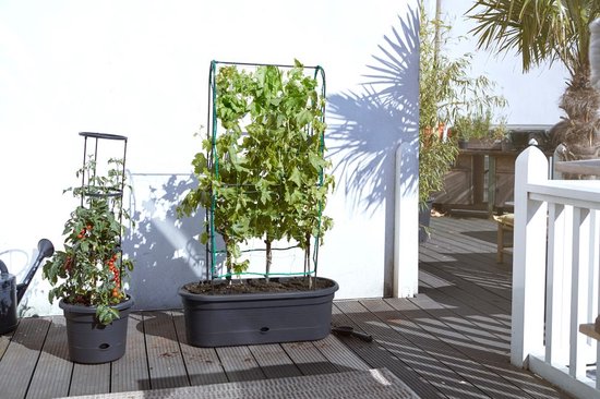 Elho Green Basics Veggie Wall 80 - Bac de culture - Jardinage vertical - Plastique 100 % recyclé - Ø 77,5 x H 26,0 cm - Living black