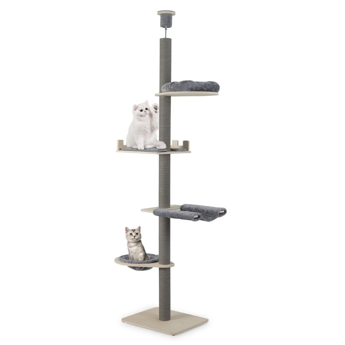 Arbre à chat Coast, sol-plafond, 5 niveaux, hauteur réglable de 236 à 271 cm - Gris