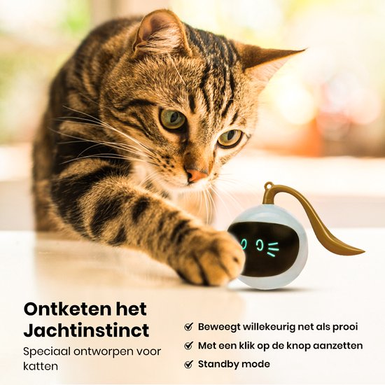 Otiume Balle interactive pour chat - Auto-roulante - Rechargeable par USB - Jouet