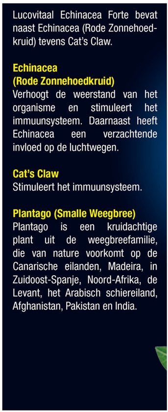 Lucovitaal - Gouttes Echinacea Cat's Claw pour renforcer les défenses immunitaires - 100 ml - Complément alimentaire