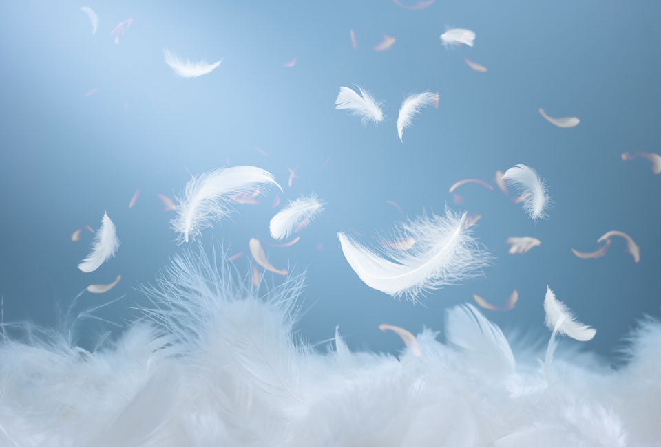 H&C Luze couette en duvet de canard toute l'année - 15% de duvet de canard - 155 x 220 cm