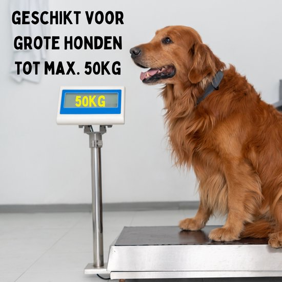 Laisse pour chien By Cee Cee 8 mètres - Laisse pour chien jusqu'à 50 kg - Noir - Laisse réfléchissante - Matériau robuste - Enroulement et déroulement en douceur