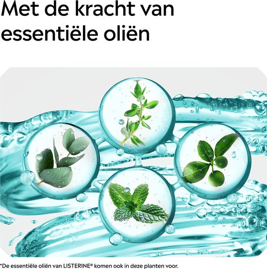 Bain de bouche Listerine Cool Mint Mild, aux huiles essentielles, contre la mauvaise haleine et la plaque dentaire, au goût de menthe doux, 1 L