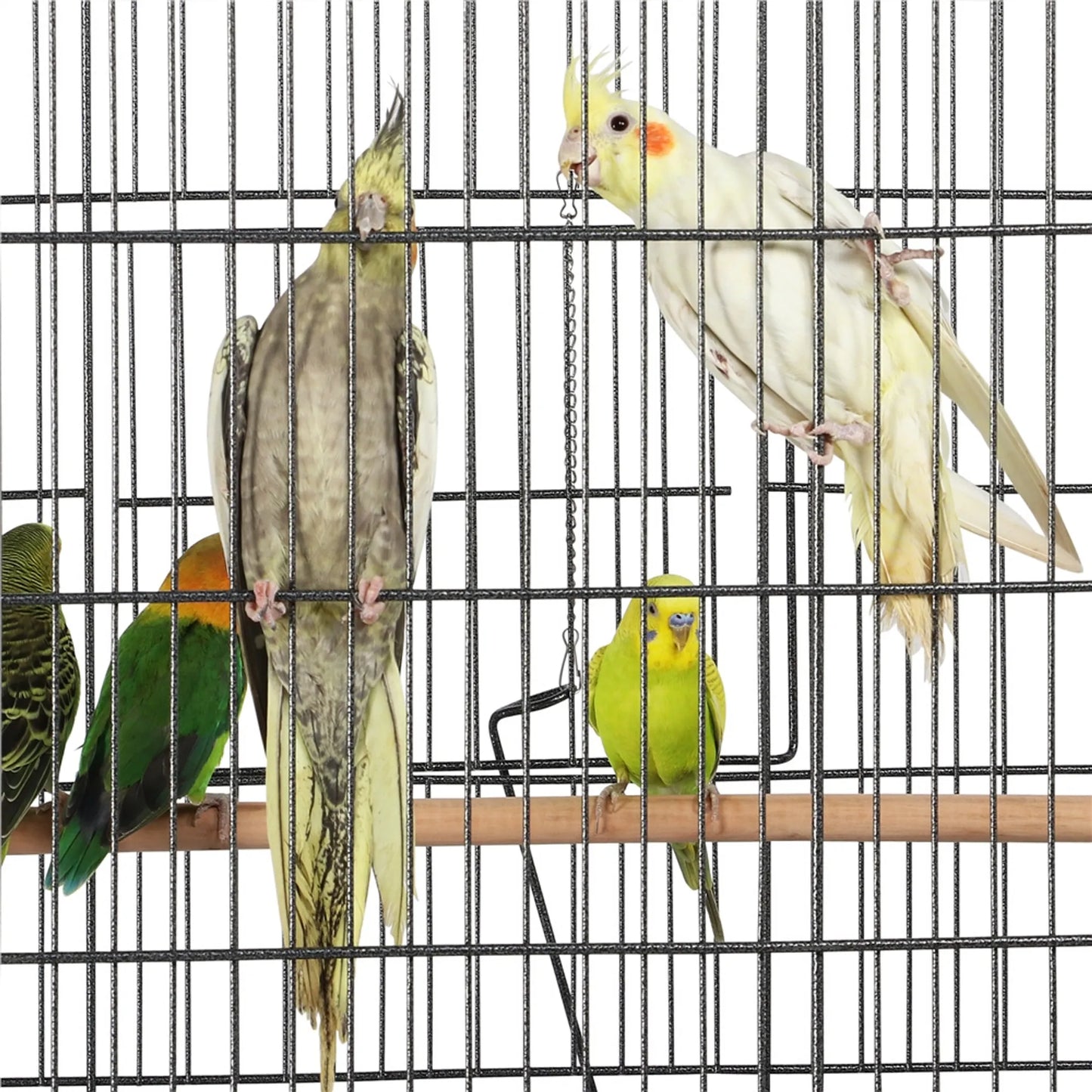 Yaheetech XXL Bird Cage With 360° Casters - Fitted With Lower Storage Shelf And 4 Perches And Removable Bottom Plate - For Parakeets And Falcon Parakeets - Black Metal - 93,5 x 56,5 x 153 cm
