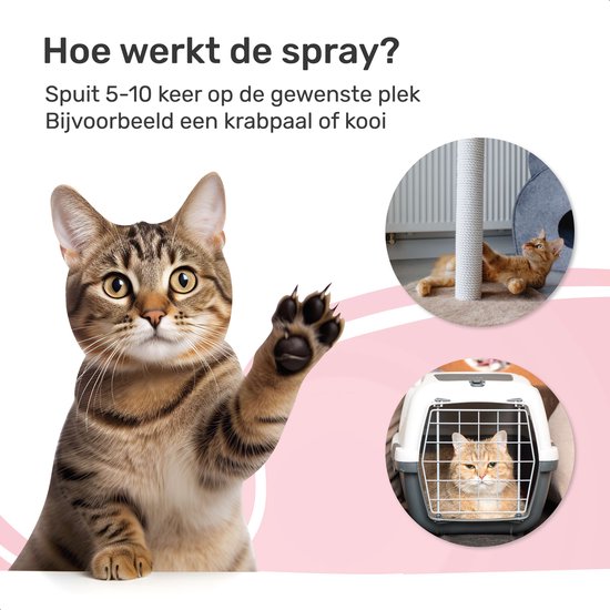 Spray d'herbe à chat - 100% naturel - Spray d'herbe à chat - Jouet d'herbe à chat - Valériane - Chat - Chats - Pour griffoir - Jouets - Maison - Panier