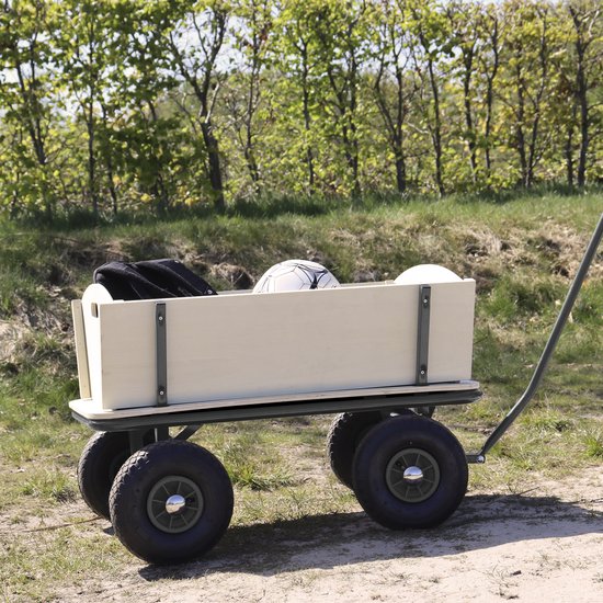 Sunny Billy Beach Wagon Charrette de plage Anthracite - Bois brut - Chariot avec pneus gonflables - 94x61x97cm