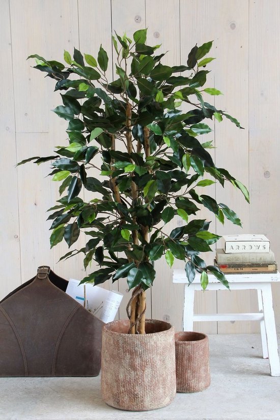 Mica Decorations Plante Artificielle Ficus - H110 x Ø65 cm - Vert