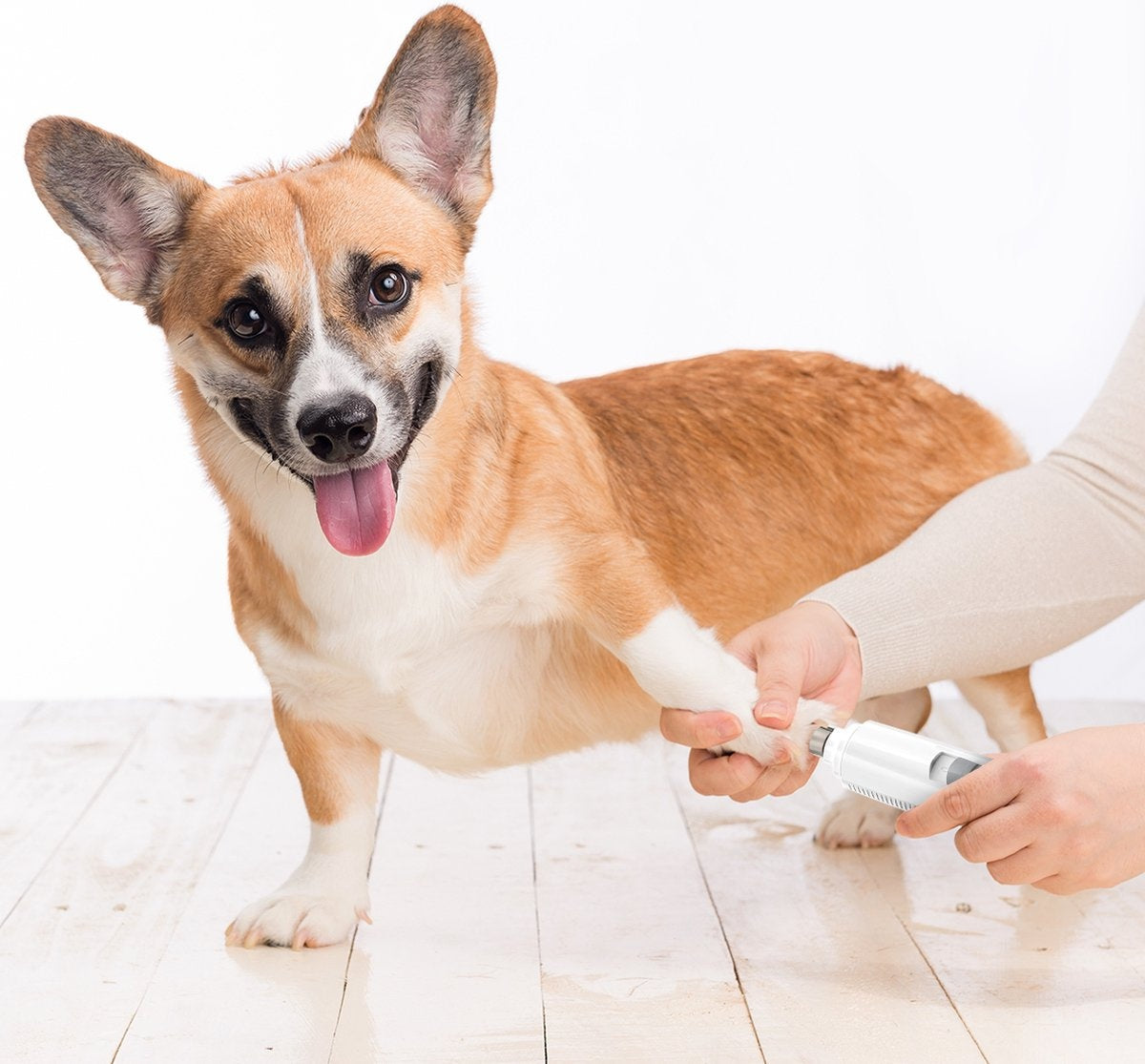 Auronic lime à ongles électrique - pour animaux - rechargeable - sans fil - tête de lime en diamant - chiens/chats - blanc