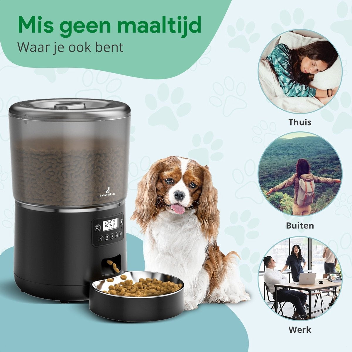 Mangeoire automatique pour chat et chien 4L - Mangeoire pour chat - Noir - Manuel hollandais inclus