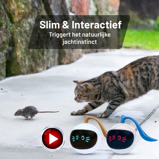 Otiume Balle interactive pour chat - Auto-roulante - Rechargeable par USB - Jouet