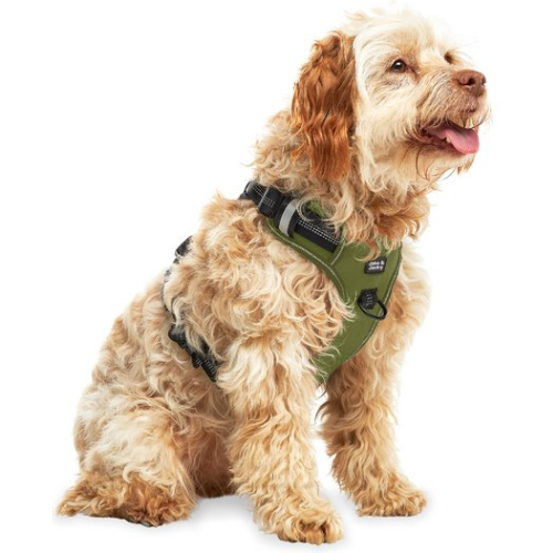 Harnais pour chien, Jake et Jacky, Harnais anti-traction, Réfléchissant, Taille M, Vert