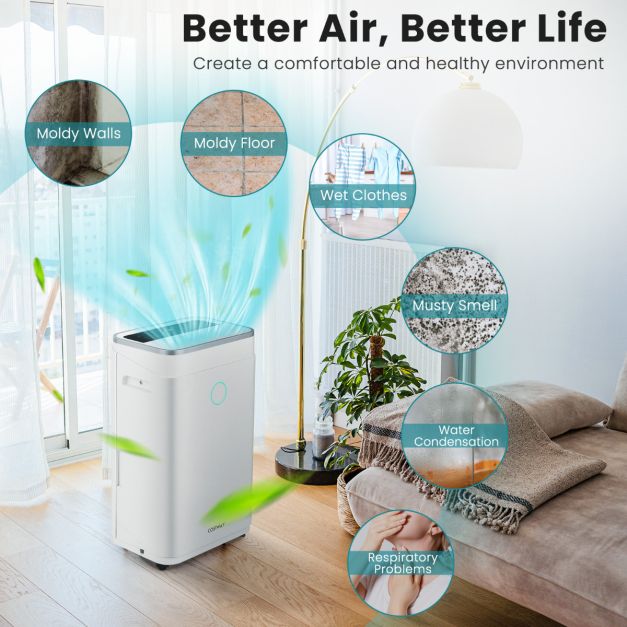Coast Déshumidificateur 25L/Jour avec tuyau de vidange et affichage LED - Blanc - 34x24x57 cm